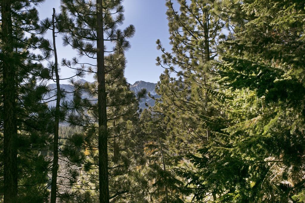 Mammoth Village Properties By 101 Great Escapes Mammoth Lakes Room photo